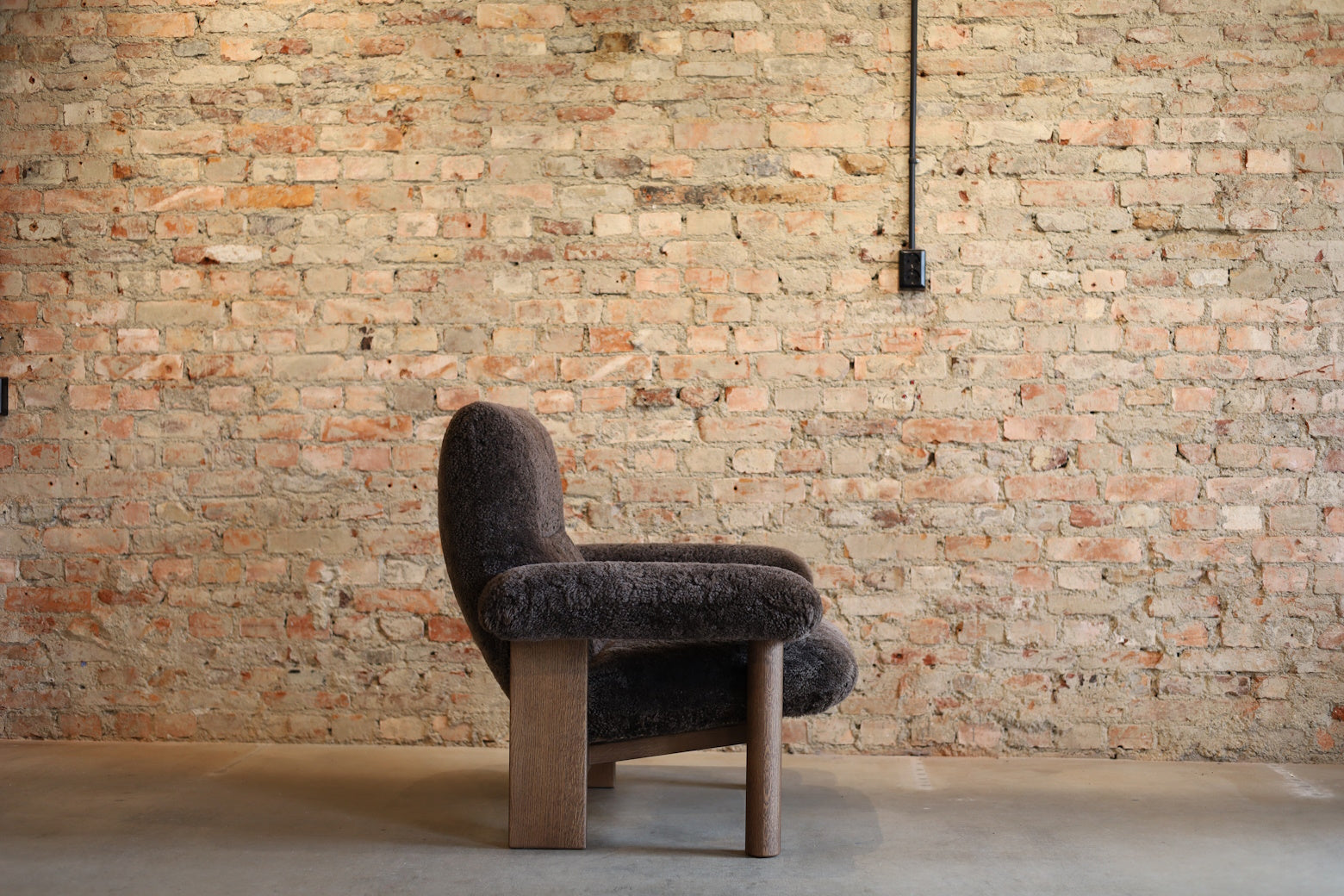 Brasilia Lounge Chair