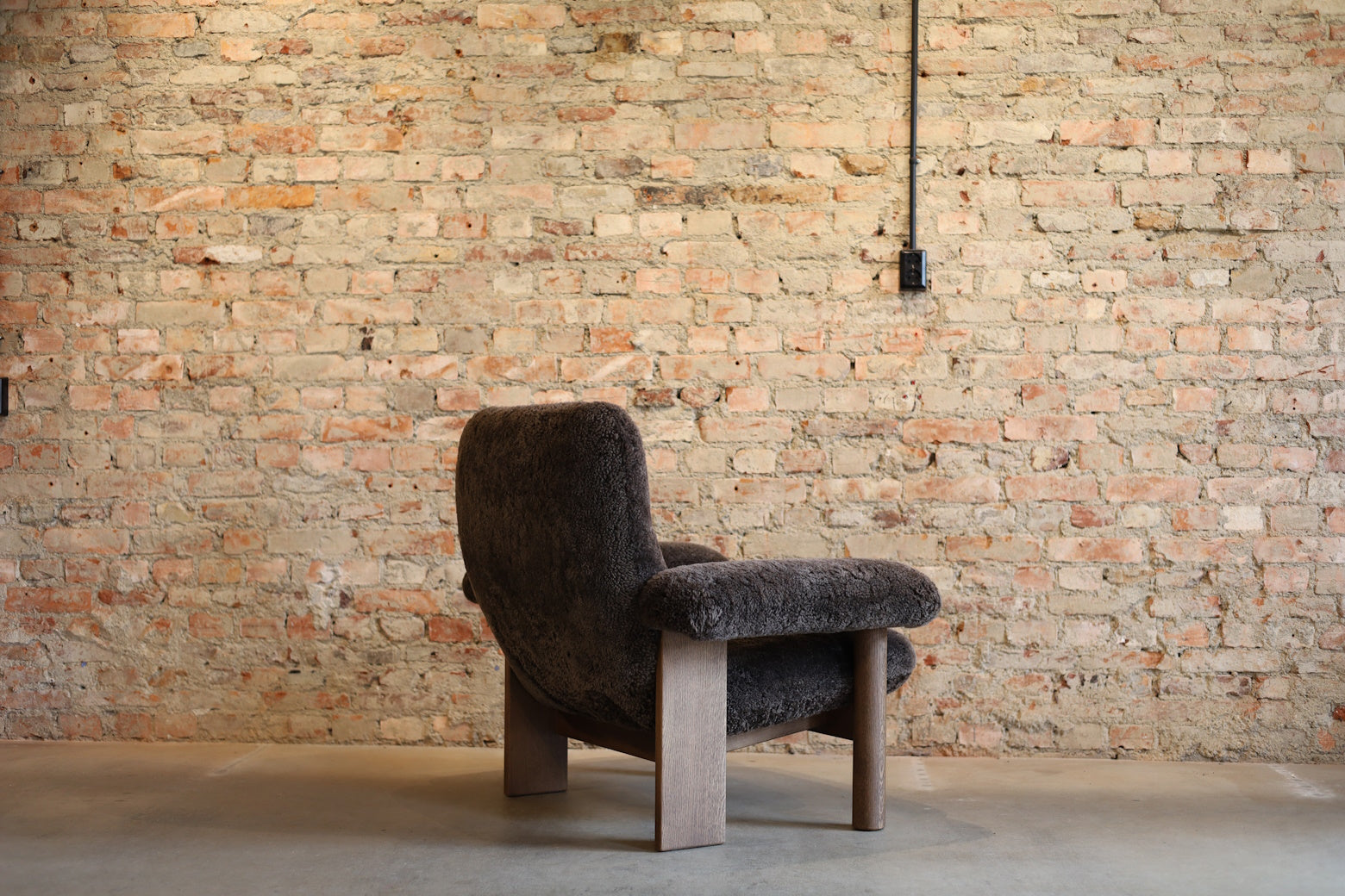 Brasilia Lounge Chair