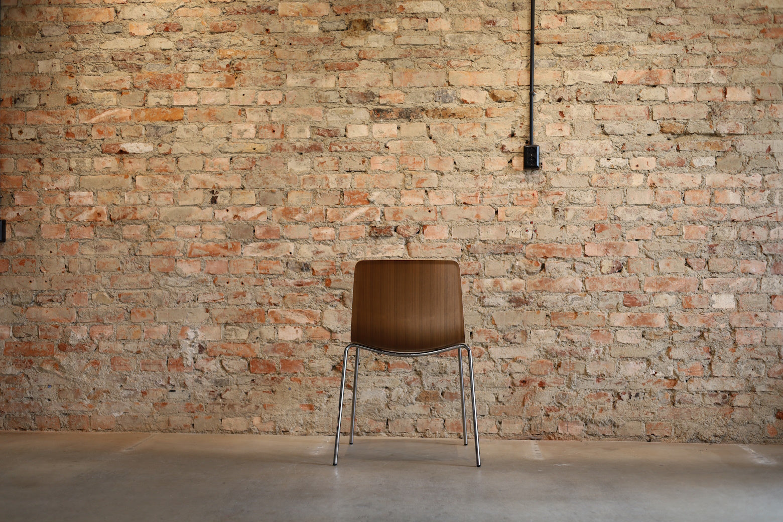 Pato Veneer Stol
