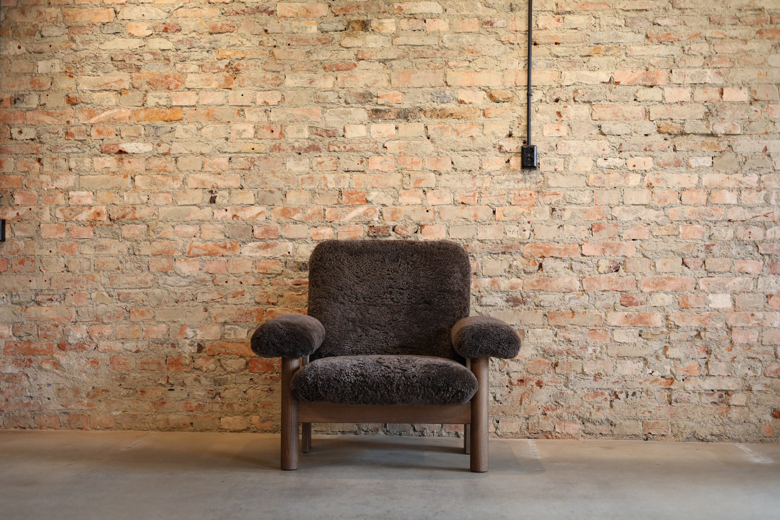 Brasilia Lounge Chair