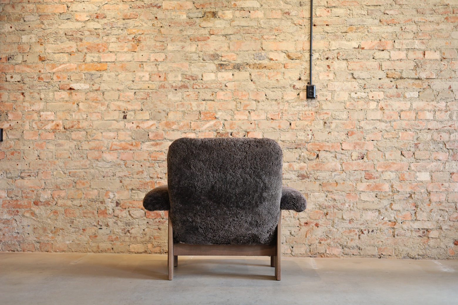 Brasilia Lounge Chair