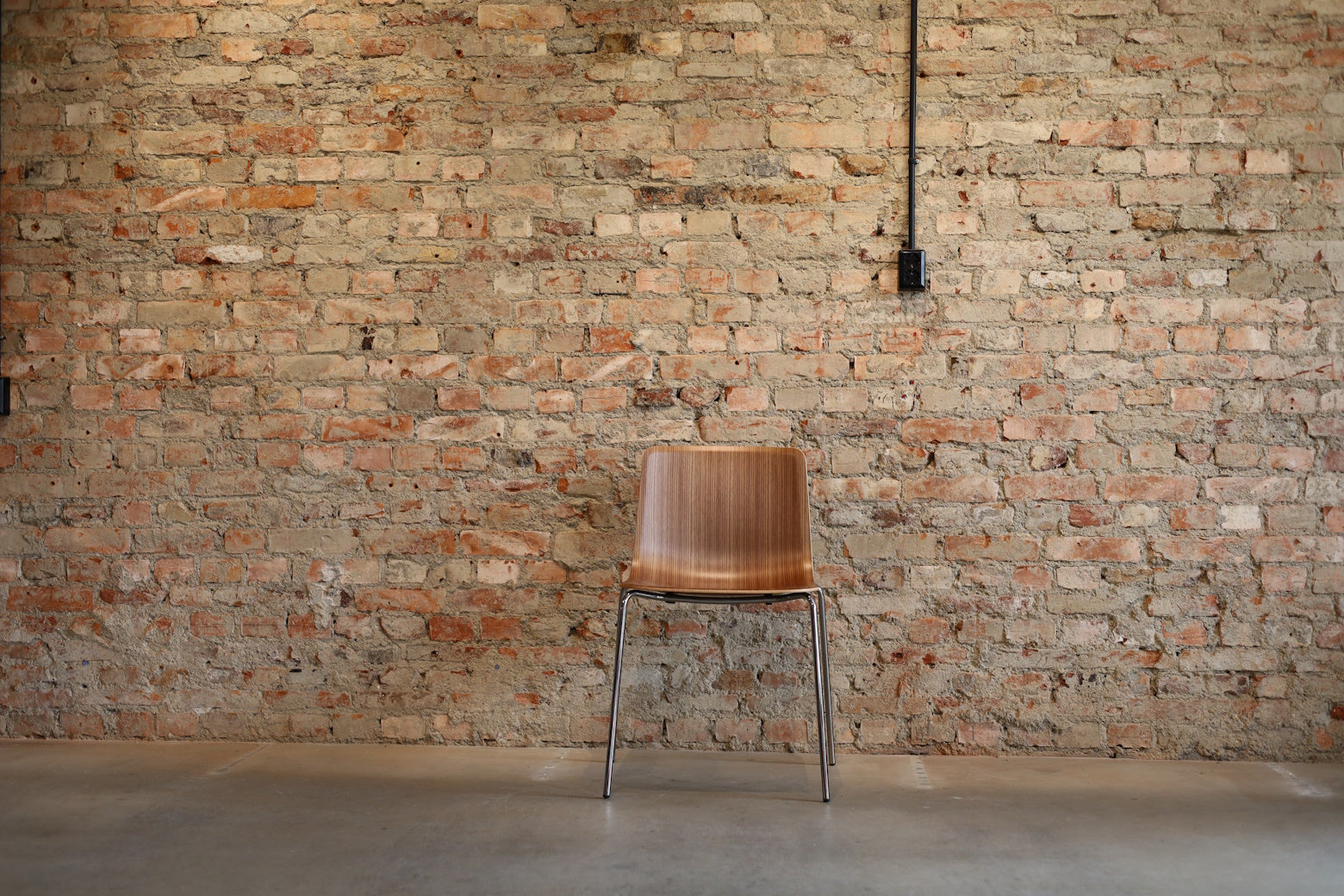 Pato Veneer Stol