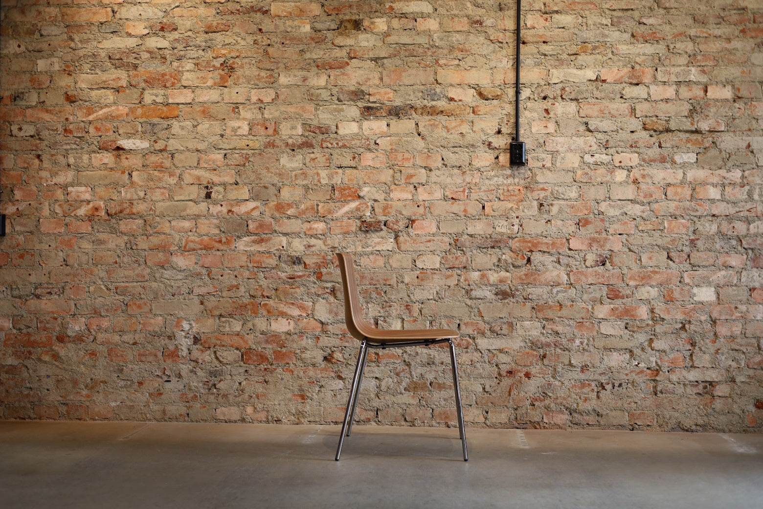 Pato Veneer Stol